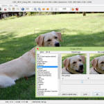 IrfanView effects dialog