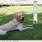 IrfanView paint plugin