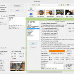 IrfanView slideshow dialog