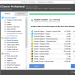 CCleaner Professional screenshot