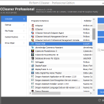 CCleaner Professional screenshot