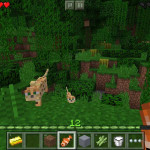 Minecraft-Pocket-Edition-02