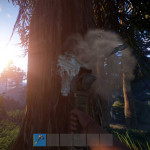 Rust-02