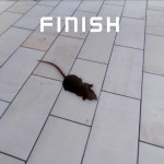 Slap-the-Fly-Screenshot_9