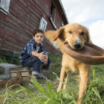 A-Dog's-Purpose-Był-sobie-pies-01