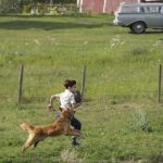 A-Dog's-Purpose-Był-sobie-pies-02