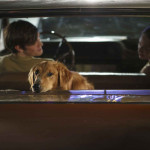 A-Dog's-Purpose-Był-sobie-pies-07