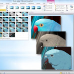 microsoft_powerpoint_2010_picture_editing_web