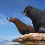 finding-dory-01