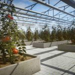 pure_farming_2018_13