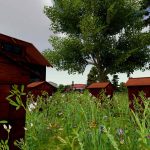 Farm-Manager-2018-05