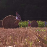 Slawomir—Ty-mala-znow-zaroslas-03