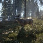 theHunter-Call-of-the-Wild-07