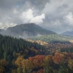 theHunter-Call-of-the-Wild-09