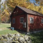 theHunter-Call-of-the-Wild-10