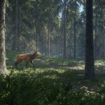 theHunter-Call-of-the-Wild-16