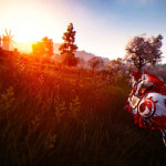 Black Desert Online