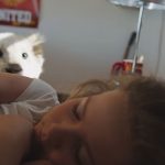 Mia-and-the-White-Lion-04