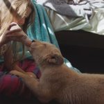 Mia-and-the-White-Lion-06