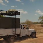 Mia-and-the-White-Lion-12