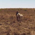 Mia-and-the-White-Lion-14