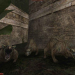 Gothic-II-Night-of-the-Raven-10