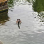 Machinery-HDR-Effects-10