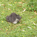 Machinery-HDR-Effects-13