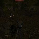 The-Chronicles-Of-Myrtana-Archolos-26