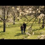 Doctor-Strange-in-the-Multiverse-of-Madness-011