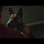 Dog-01