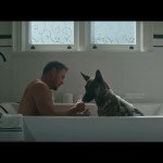 Dog-03