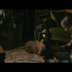 Dog-06