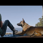 Dog-07