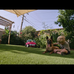 Dog-09