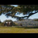 Downton-Abbey-A-New-Era-007