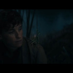 Fantastic-Beasts-The-Secrets-of-Dumbledore-009