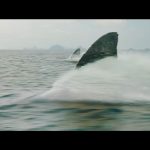 Meg-2-The-Trench-001