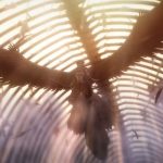 Attack-on-Titan-the-Movie-The-Last-Attack-002