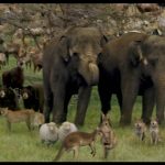 Evan-Almighty-008