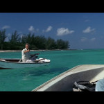 Jaws-The-Revenge-001