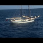 Jaws-The-Revenge-004