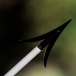 Robin-Hood-Men-in-Tights-002