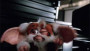 Gremliny 2
