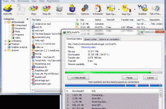 Internet Download Manager screen