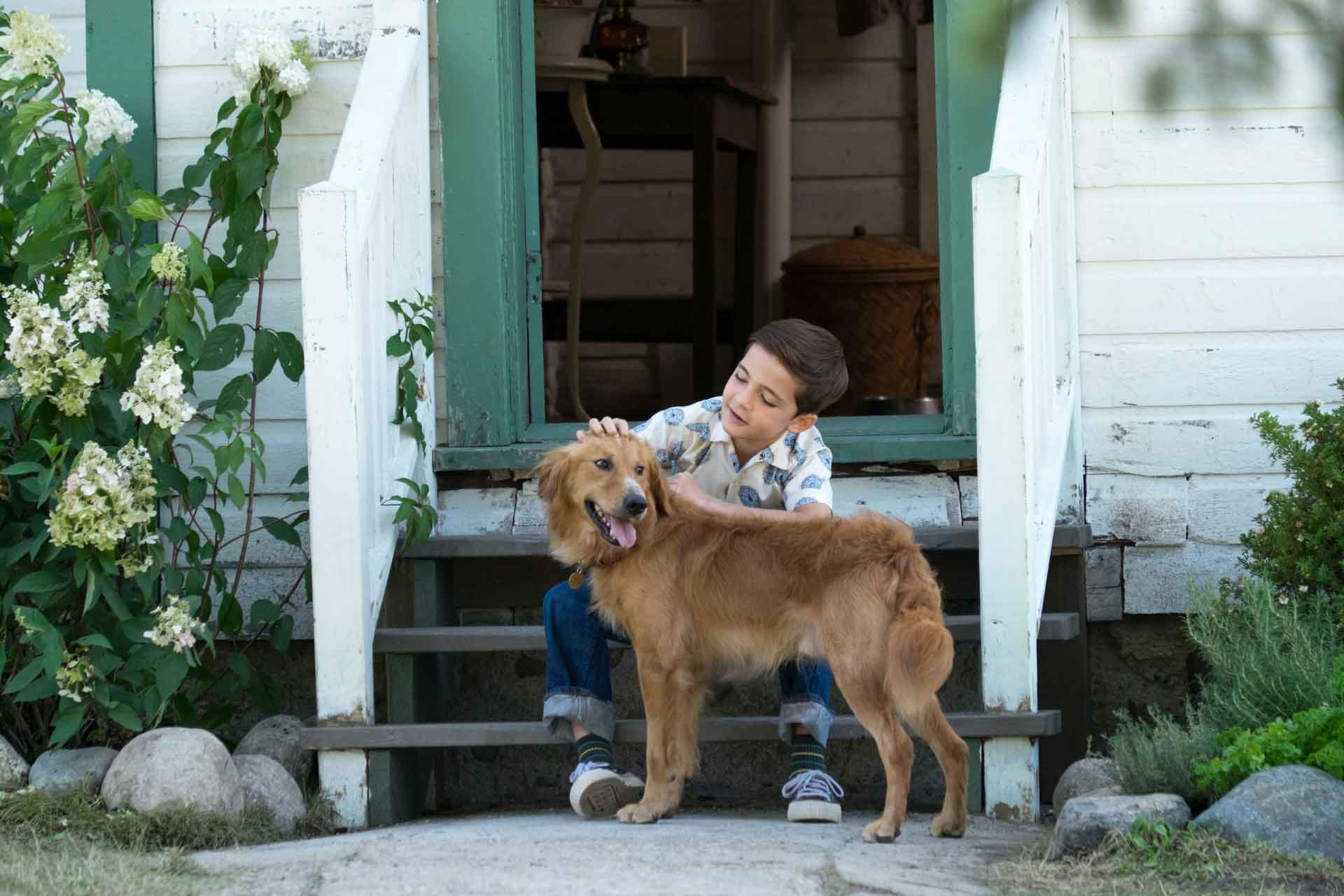 cast of a dogs purpose