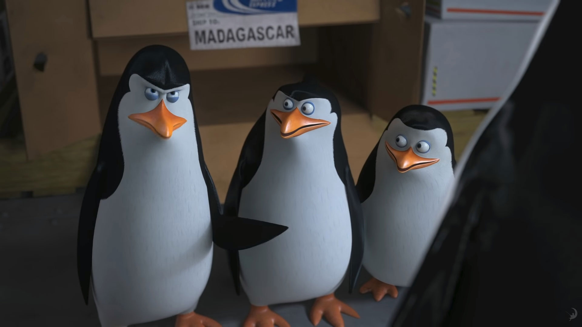 Пингвины из мадагаскара ковальский