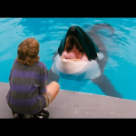 free-willy-003