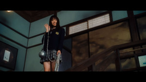 Kill Bill: The Whole Bloody Affair