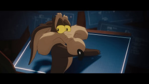 Coyote vs. Acme